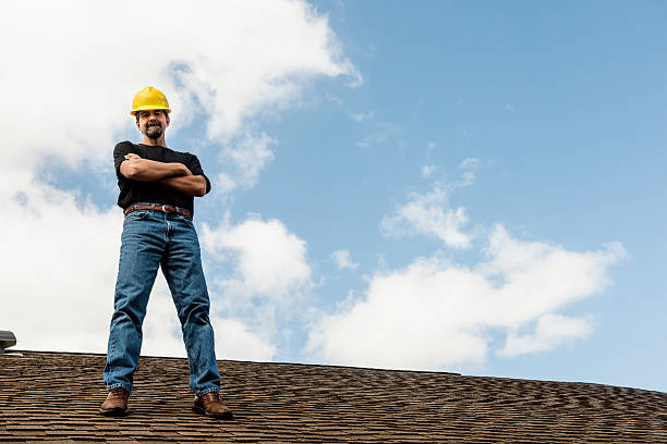 Best Roof Gutter Cleaning  in Alba, NY