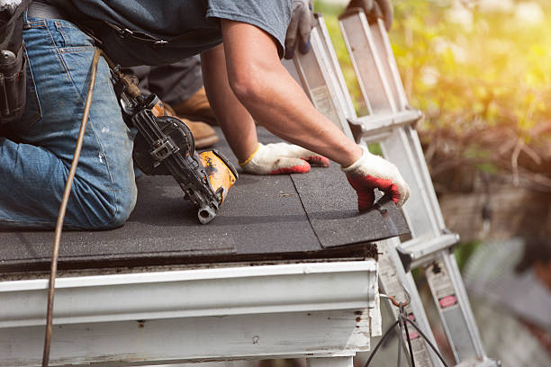 Best Storm Damage Roof Repair  in Alba, NY